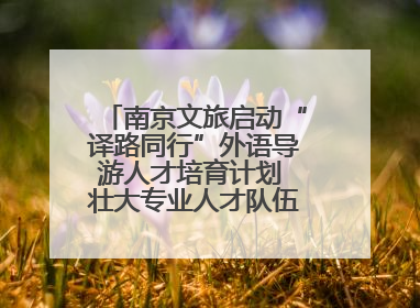 南京文旅启动“译路同行”外语导游人才培育计划 壮大专业人才队伍助力重要国际旅游目的地建设