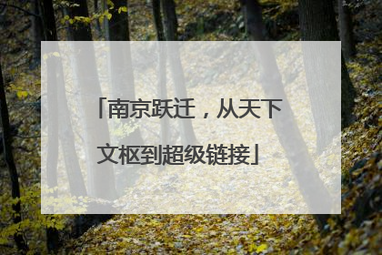南京跃迁，从天下文枢到超级链接