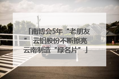 南博会5年“老朋友” 云铝股份不断擦亮云南制造“绿名片”