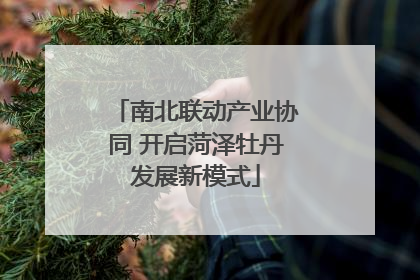 南北联动产业协同 开启菏泽牡丹发展新模式