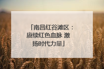 南昌红谷滩区：赓续红色血脉 激扬时代力量