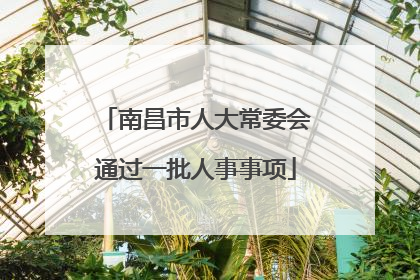 南昌市人大常委会通过一批人事事项