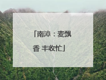 南漳：麦飘香 丰收忙
