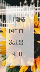南靖国兰首次走出国门
