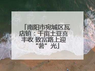 南阳市宛城区瓦店镇：千亩土豆喜丰收 致富路上迎“薯”光