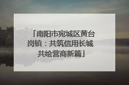 南阳市宛城区黄台岗镇：共筑信用长城 共绘营商新篇
