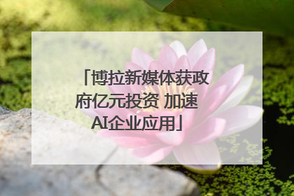 博拉新媒体获政府亿元投资 加速AI企业应用