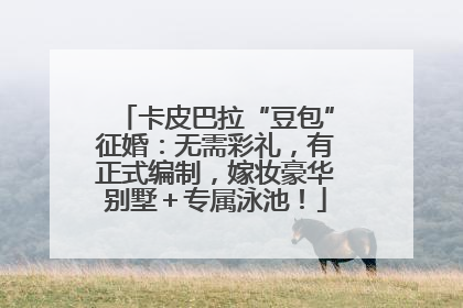 卡皮巴拉“豆包”征婚：无需彩礼，有正式编制，嫁妆豪华别墅＋专属泳池！