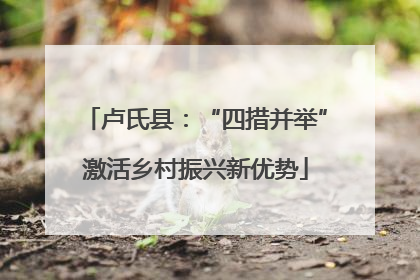 卢氏县：“四措并举”激活乡村振兴新优势