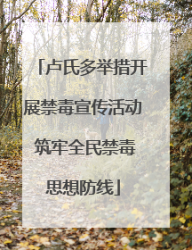 卢氏多举措开展禁毒宣传活动 筑牢全民禁毒思想防线