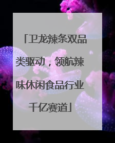 卫龙辣条双品类驱动，领航辣味休闲食品行业千亿赛道