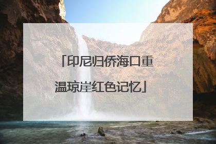 印尼归侨海口重温琼崖红色记忆