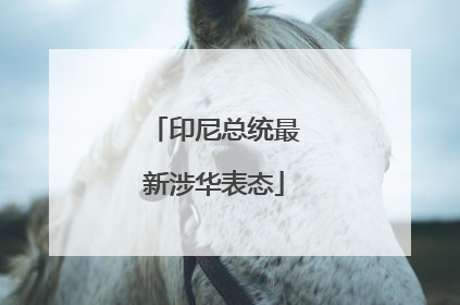 印尼总统最新涉华表态