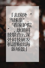 去国外“当球童”、“看家护院”，康迪科技联合云深处科技研发机器狗出海新场景