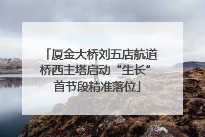 厦金大桥刘五店航道桥西主塔启动“生长” 首节段精准落位