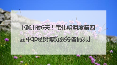 倒计时6天！毛伟明调度第四届中非经贸博览会筹备情况