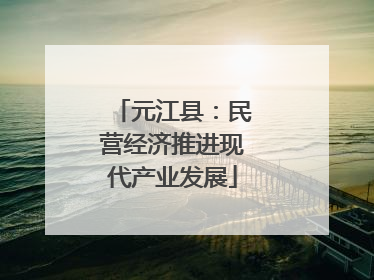 元江县：民营经济推进现代产业发展