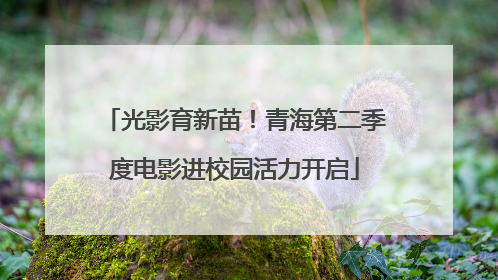 光影育新苗！青海第二季度电影进校园活力开启