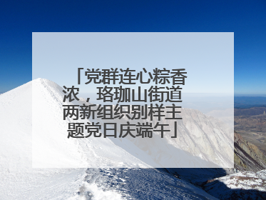党群连心粽香浓，珞珈山街道两新组织别样主题党日庆端午