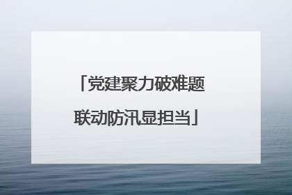 党建聚力破难题 联动防汛显担当