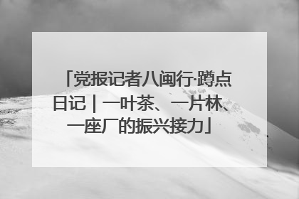 党报记者八闽行·蹲点日记｜一叶茶、一片林、一座厂的振兴接力