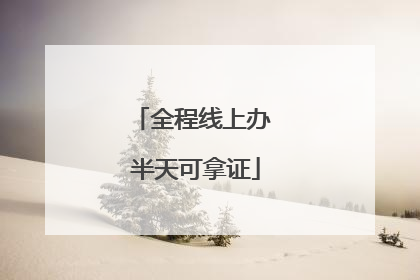 全程线上办 半天可拿证