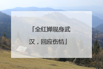 全红婵现身武汉，回应伤情