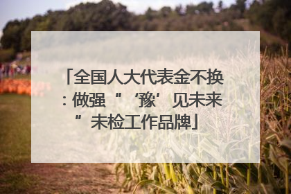全国人大代表金不换：做强“‘豫’见未来”未检工作品牌