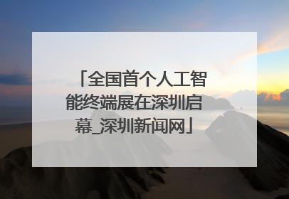 全国首个人工智能终端展在深圳启幕_深圳新闻网