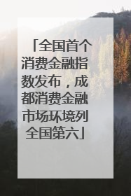 全国首个消费金融指数发布，成都消费金融市场环境列全国第六