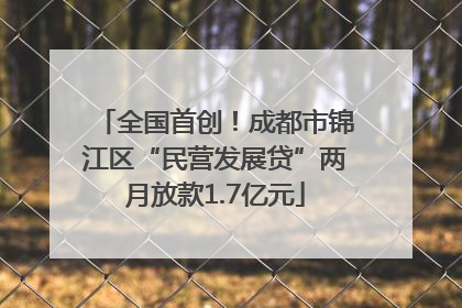 全国首创！成都市锦江区“民营发展贷”两月放款1.7亿元
