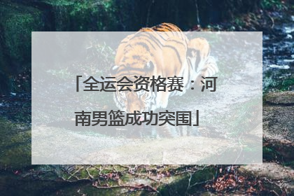 全运会资格赛：河南男篮成功突围