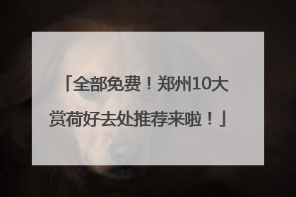 全部免费！郑州10大赏荷好去处推荐来啦！