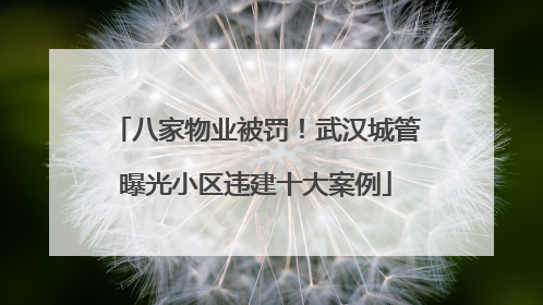 八家物业被罚！武汉城管曝光小区违建十大案例
