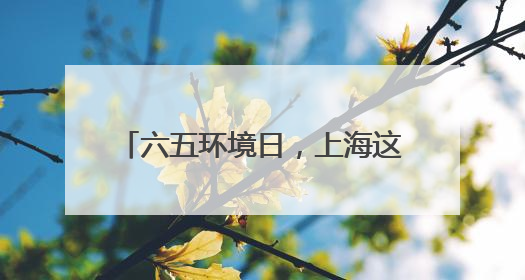 六五环境日，上海这场绿色行动让空瓶开启 “再生之旅”