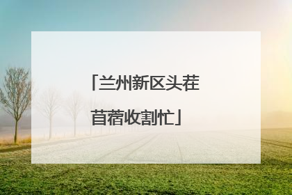 兰州新区头茬苜蓿收割忙