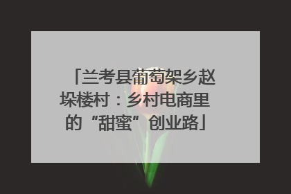 兰考县葡萄架乡赵垛楼村：乡村电商里的“甜蜜”创业路