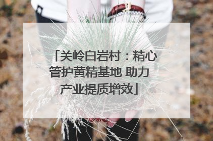 关岭白岩村：精心管护黄精基地 助力产业提质增效