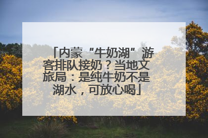 内蒙“牛奶湖”游客排队接奶？当地文旅局：是纯牛奶不是湖水，可放心喝