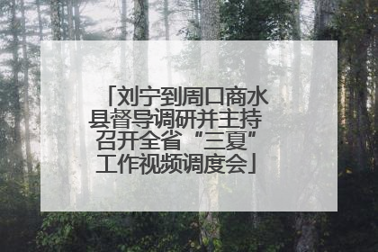 刘宁到周口商水县督导调研并主持召开全省“三夏”工作视频调度会