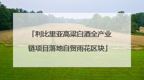 利比里亚高粱白酒全产业链项目落地自贸雨花区块