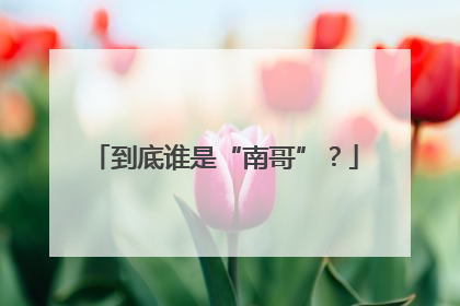 到底谁是“南哥”？