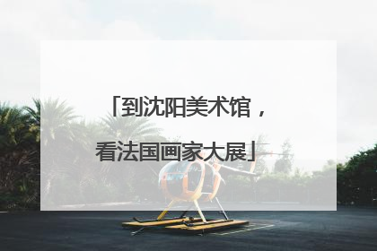 到沈阳美术馆，看法国画家大展