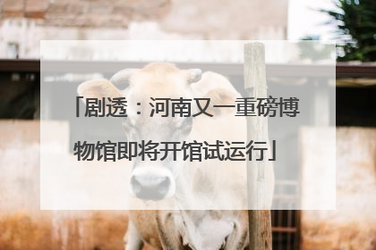 剧透：河南又一重磅博物馆即将开馆试运行