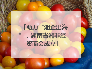 助力“湘企出海”，湖南省湘非经贸商会成立