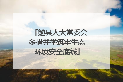 勉县人大常委会多措并举筑牢生态环境安全底线