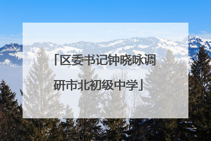 区委书记钟晓咏调研市北初级中学