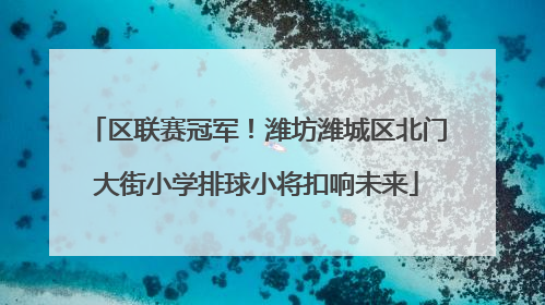 区联赛冠军！潍坊潍城区北门大街小学排球小将扣响未来