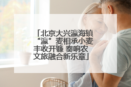 北京大兴瀛海镇“瀛”麦相承小麦丰收开镰 奏响农文旅融合新乐章
