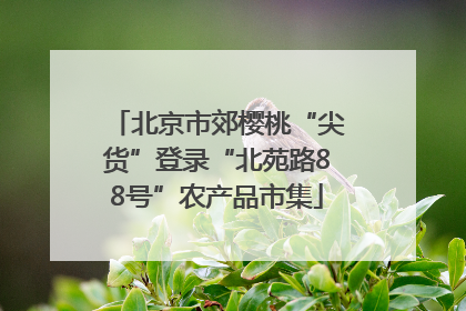 北京市郊樱桃“尖货”登录“北苑路88号”农产品市集